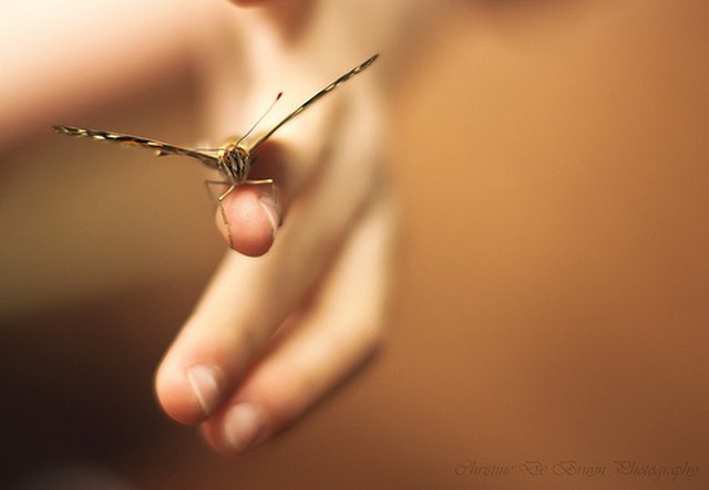 打爆别人短信的软件